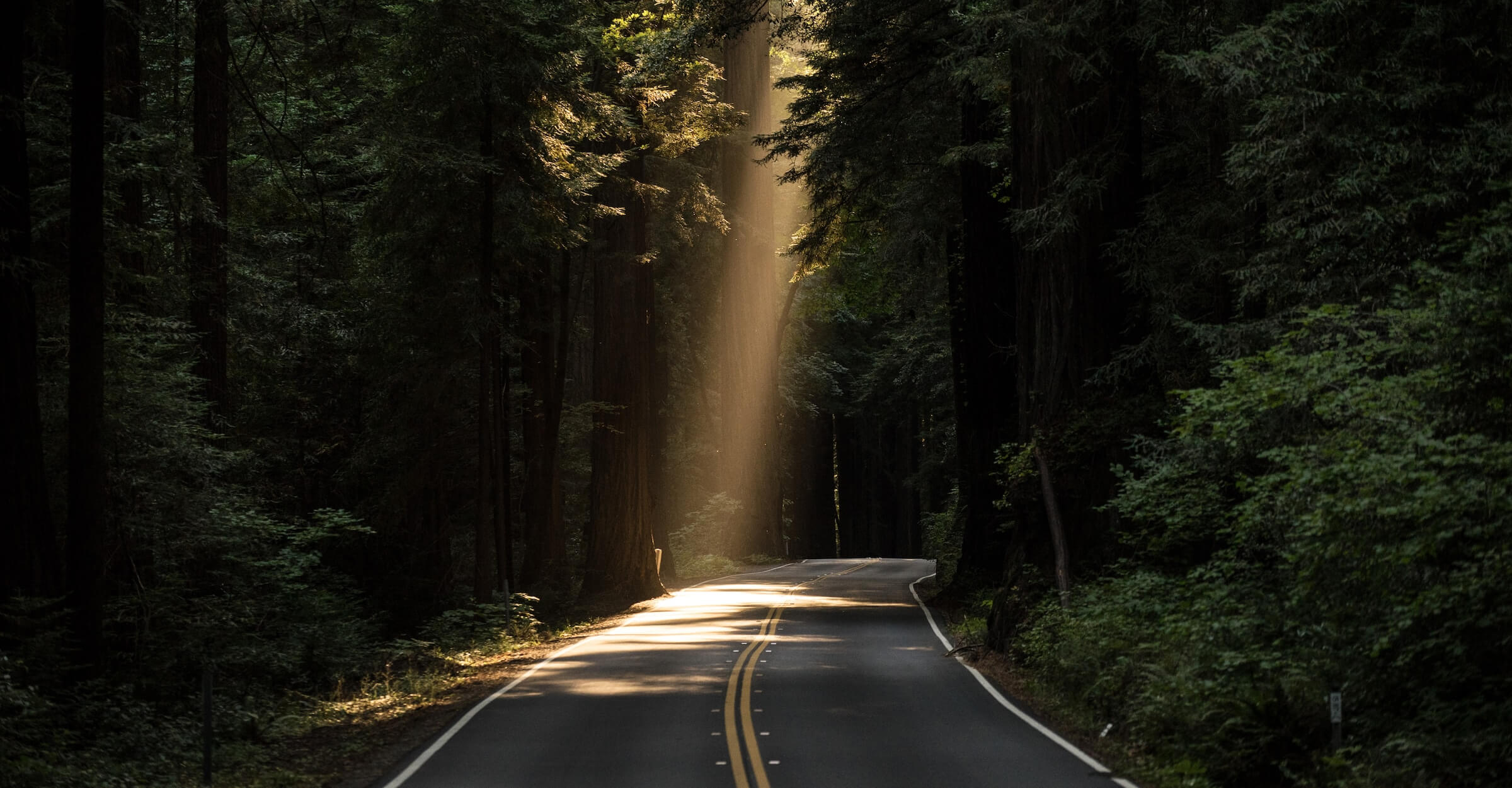 Scenic background of a travel destination in South India